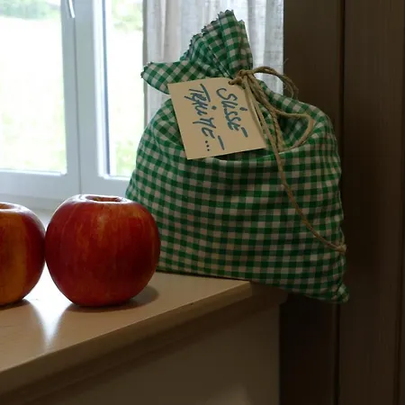 Geissler-reicher Oberwoelz Stadt